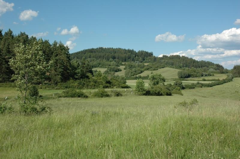 Penzion U Zameckeho Parku Zihobce Exterior photo